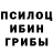 Галлюциногенные грибы Psilocybine cubensis Ygolek Mainkraft