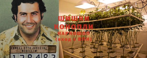 гидропоника Верхний Тагил
