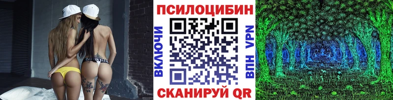 Галлюциногенные грибы Cubensis  купить   Горбатов 